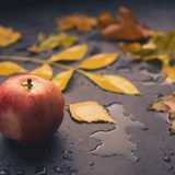 Apple After Dark