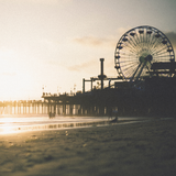 Midnight Boardwalk