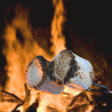 Campfire