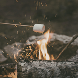 Campfire Embers