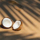 Mahogany Coconut Car Diffuser