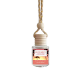 Hawaiian Ginger Car Diffuser