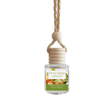 Cucumber Melon Car Diffuser