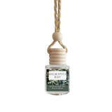 Eucalyptus Rain Car Diffuser