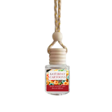Saturday Cartoons Car Diffuser