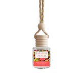 Paradise Punch Car Diffuser